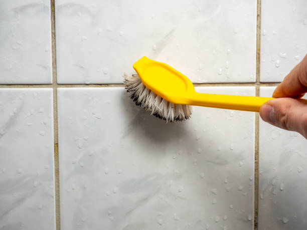 Best Emergency Mold Removal  in Hudson Lake, IN