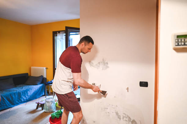 Best Mold Cleaning Services  in Hudson Lake, IN